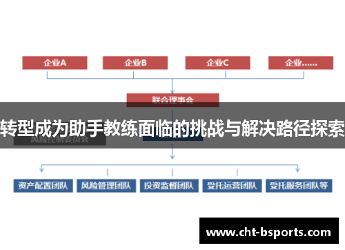 转型成为助手教练面临的挑战与解决路径探索