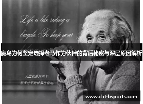 魔鸟为何坚定选择老马作为伙伴的背后秘密与深层原因解析