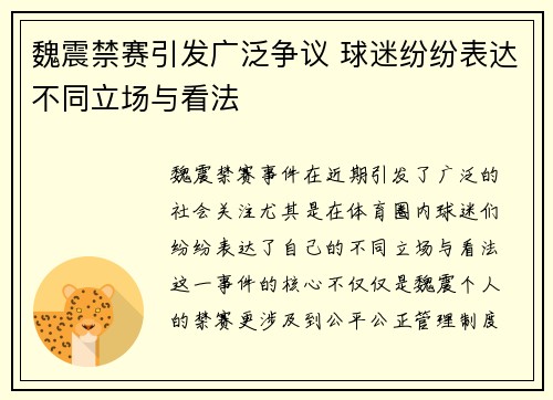 魏震禁赛引发广泛争议 球迷纷纷表达不同立场与看法