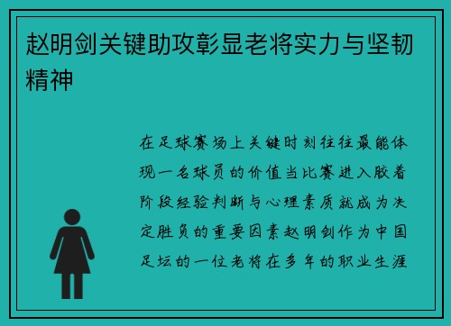 赵明剑关键助攻彰显老将实力与坚韧精神