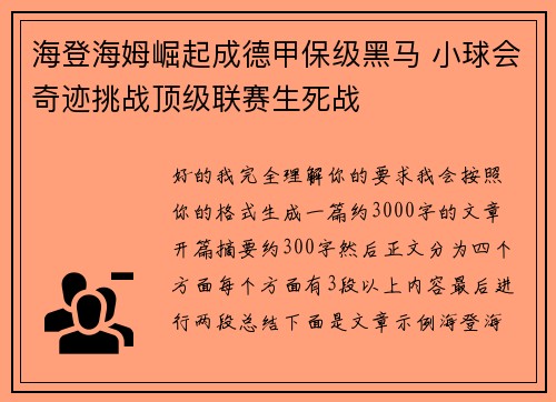 海登海姆崛起成德甲保级黑马 小球会奇迹挑战顶级联赛生死战